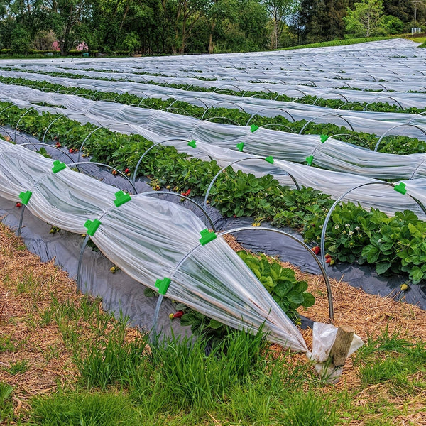 Planet Gates Greenhouse Clip 40pcs, Greenhouse Clamps Film Row Cover Netting Tunnel Hoop Clip Frame Shading Net Rod Clip For Season Plant Extension Support (40 Pieces, 10 Mm)