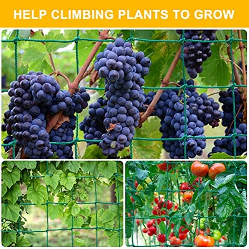 Planet Gates Grow Your Garden with This Heavy Duty Climbing Plant Trellis - Perfect for Cucumbers, Vines, Fruits and Vegetables!