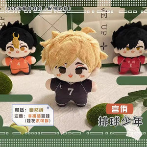 Planet Gates Haikyuu Volleyball Plush Doll Oikawa Tobio Kageyama Shoyo Hinata Kei Tsukishima Kozume Kenma Mini Stuffed Toys Pendant Kids Gift