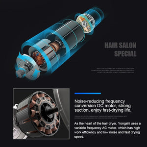 Planet Gates Hair Dryer 2200W Professional Powerful Hair Dryer Fast Heating Hot And Cold Adjustment Ionic Air Blow Dryer with Air Collecting