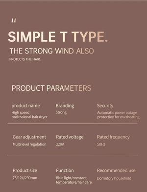 Planet Gates Hair Dryer High-Speed Electric Turbine Airflow Low Noise Constant Temperature And Quick Drying Suitable For Home Salons