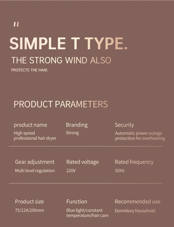 Planet Gates Hair Dryer High-Speed Electric Turbine Airflow Low Noise Constant Temperature And Quick Drying Suitable For Home Salons
