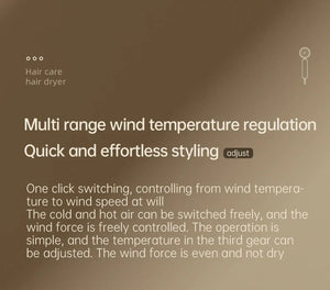 Planet Gates Hair Dryer High-Speed Electric Turbine Airflow Low Noise Constant Temperature And Quick Drying Suitable For Home Salons