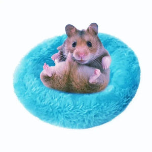 Planet Gates Hamster Coconut Shell Hanging Hammock Nest Bed Hideout with Stand Cage Accessories for Small Animals Golden Bear Sugar Glider