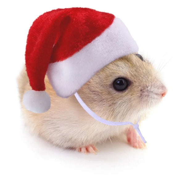 Planet Gates Hamster Guinea Pig Christmas Cap Costume Mini Small Pet Hat Xmas Headwear Pet Outfits for Chinchilla Rabbit Hedgehog햄스터