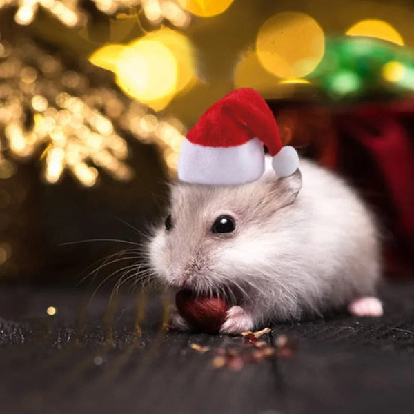 Planet Gates Hamster Guinea Pig Christmas Cap Costume Mini Small Pet Hat Xmas Headwear Pet Outfits for Chinchilla Rabbit Hedgehog햄스터
