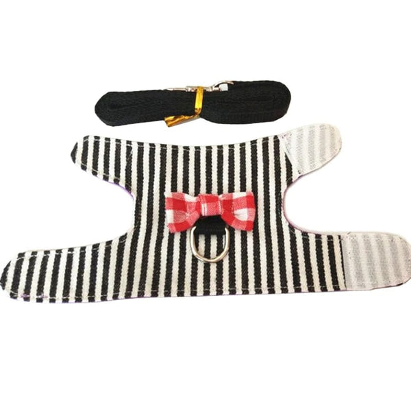 Planet Gates Hamster Rabbit Harness Leash Set for Ferret Guinea Pig Bunny Hamster Puppy Bowknot Chest Strap Harness Vest Small Pet Supplies
