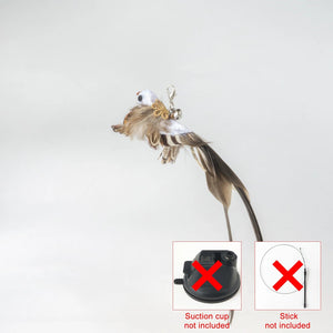 Planet Gates Handfree Bird/Feather Cat Wand with Bell Powerful Suction Cup Interactive Toys for Cats Kitten Hunting Exercise Pet Products