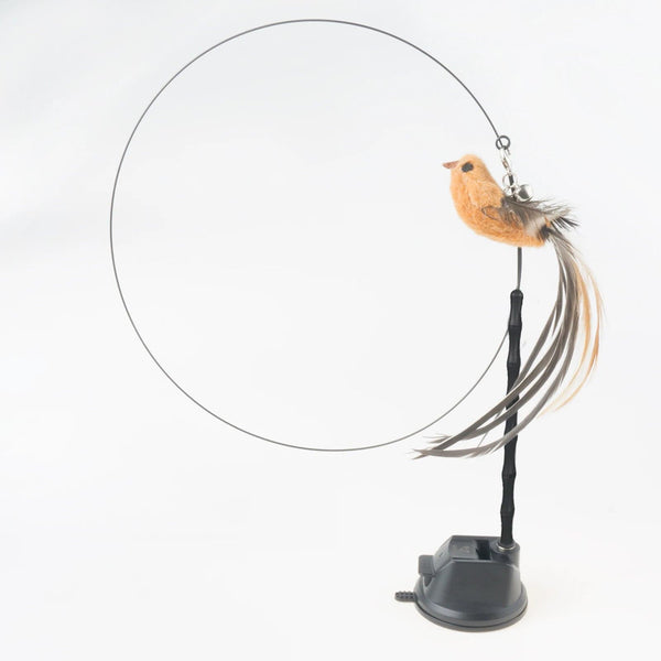 Planet Gates Handfree Bird/Feather Cat Wand with Bell Powerful Suction Cup Interactive Toys for Cats Kitten Hunting Exercise Pet Products
