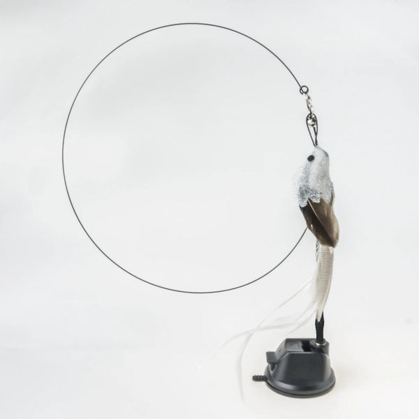 Planet Gates Handfree Bird/Feather Cat Wand with Bell Powerful Suction Cup Interactive Toys for Cats Kitten Hunting Exercise Pet Products