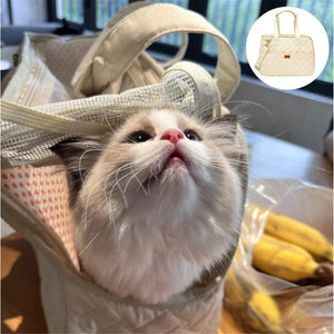 Planet Gates Hanpanda Four Season Large Space Breathable Side Opening Carrier For Dogs Portable Cat Canvas Shoulder Bag Pet Travel Supplies