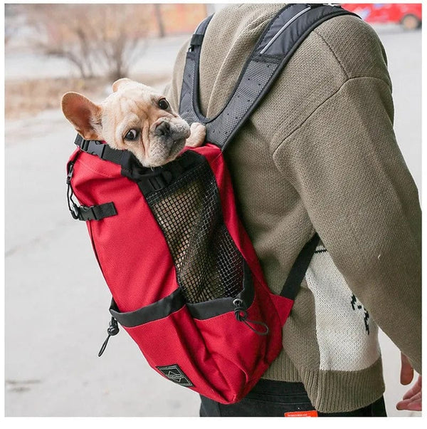 Planet Gates Hiking Pet Dog Carrier Travel Backpack Outdoor Ventilation Breathable Bicycle Motorcycle Outdoor Sport Mesh Bag Drop Shipping