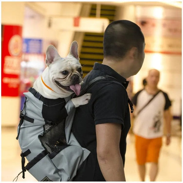 Planet Gates Hiking Pet Dog Carrier Travel Backpack Outdoor Ventilation Breathable Bicycle Motorcycle Outdoor Sport Mesh Bag Drop Shipping