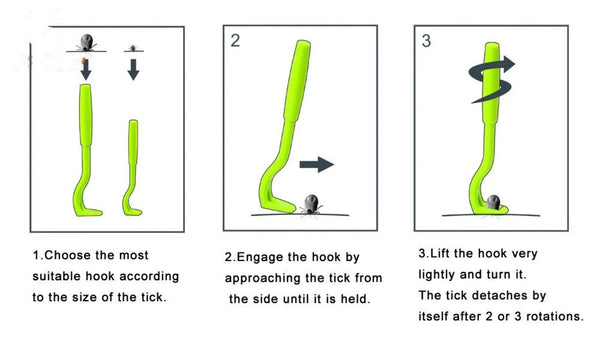 Planet Gates HOT 3PCS Pet Flea Remover Tool Scratching Hook Remover Pet Cat Dog Grooming Supplies Tick Picker Flea Removal Tool Pet Comb