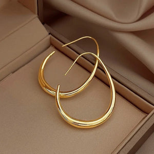 Planet Gates Hot Sale 925 Silver Needle Geometric Oval Hoop Earrings For Women Simple Desgin Earrings Party Wedding Jewelry eh2008