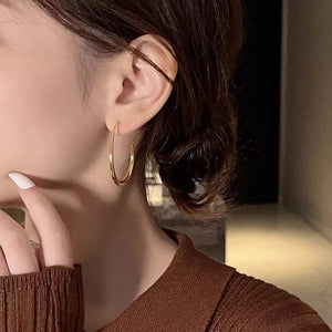Planet Gates Hot Sale 925 Silver Needle Geometric Oval Hoop Earrings For Women Simple Desgin Earrings Party Wedding Jewelry eh2008