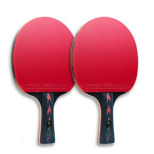 Planet Gates Huieson 2pc Ping Pong Rackets Set 5/6 Star Offensive Table Tennis Racket  with Fine Control