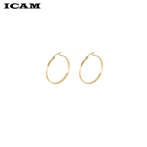 Planet Gates ICAM Fashion New 1 PairsGold Silver Small Big Circle Stainless Steel Hoop Earrings for Women Steampunk Round Earring