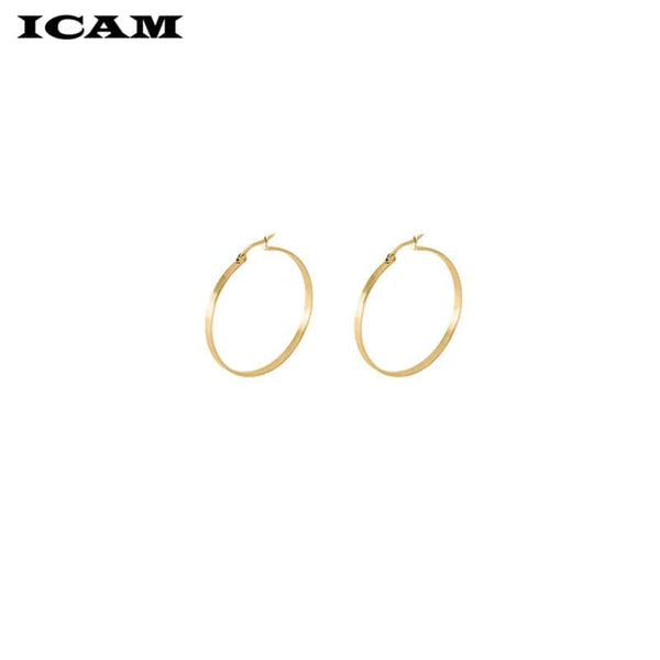 Planet Gates ICAM Fashion New 1 PairsGold Silver Small Big Circle Stainless Steel Hoop Earrings for Women Steampunk Round Earring