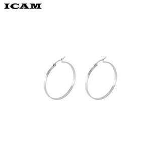 Planet Gates ICAM Fashion New 1 PairsGold Silver Small Big Circle Stainless Steel Hoop Earrings for Women Steampunk Round Earring