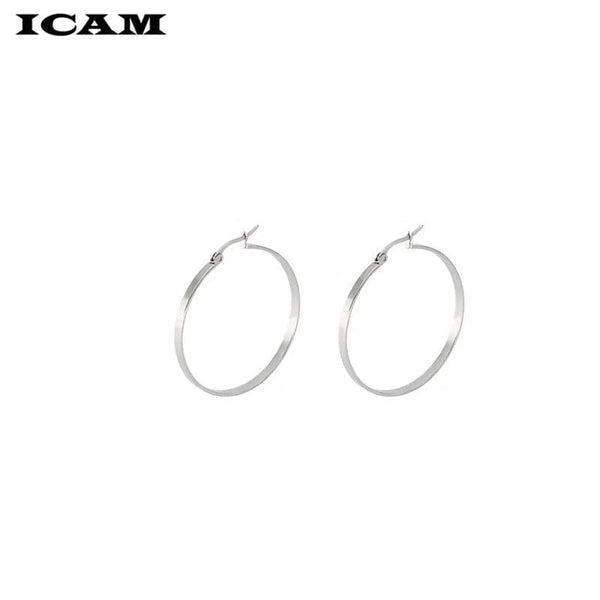 Planet Gates ICAM Fashion New 1 PairsGold Silver Small Big Circle Stainless Steel Hoop Earrings for Women Steampunk Round Earring
