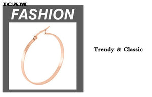 Planet Gates ICAM Fashion New 1 PairsGold Silver Small Big Circle Stainless Steel Hoop Earrings for Women Steampunk Round Earring