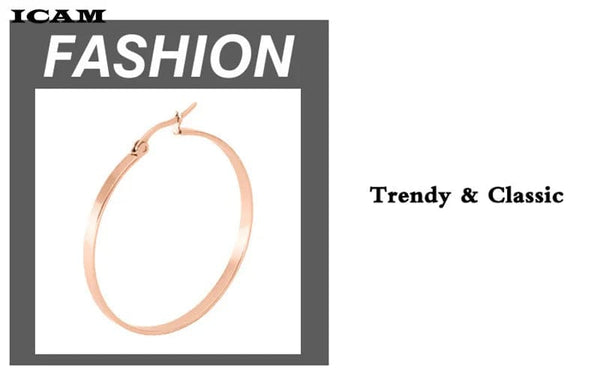 Planet Gates ICAM Fashion New 1 PairsGold Silver Small Big Circle Stainless Steel Hoop Earrings for Women Steampunk Round Earring