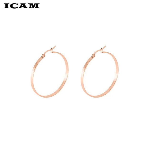 Planet Gates ICAM Fashion New 1 PairsGold Silver Small Big Circle Stainless Steel Hoop Earrings for Women Steampunk Round Earring