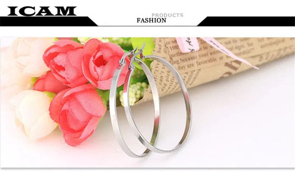 Planet Gates ICAM Fashion New 1 PairsGold Silver Small Big Circle Stainless Steel Hoop Earrings for Women Steampunk Round Earring