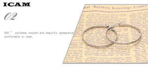 Planet Gates ICAM Fashion New 1 PairsGold Silver Small Big Circle Stainless Steel Hoop Earrings for Women Steampunk Round Earring