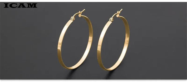 Planet Gates ICAM Fashion New 1 PairsGold Silver Small Big Circle Stainless Steel Hoop Earrings for Women Steampunk Round Earring