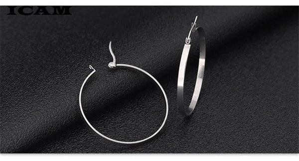 Planet Gates ICAM Fashion New 1 PairsGold Silver Small Big Circle Stainless Steel Hoop Earrings for Women Steampunk Round Earring