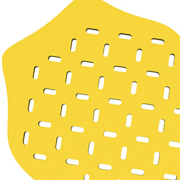 Planet Gates Insert Back Protector Lightweight EVA Large Protective Biker Gear for Skating Motorcycle Jackets Cycling Riding Adult