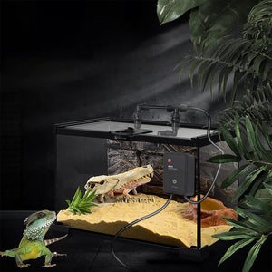 Planet Gates Intelligent Reptile Fogger Terrariums Humidifier Electronic Timer Automatic Mist Rainforest Spray System Kit Sprinkler Control