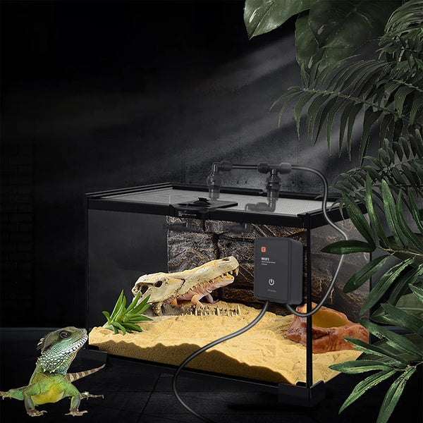 Planet Gates Intelligent Reptile Fogger Terrariums Humidifier Electronic Timer Automatic Mist Rainforest Spray System Kit Sprinkler Control