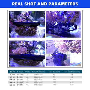 Planet Gates Jebao Jecod 2024 SCP SCPM MCP Water Pump Filter Gallon Protection 24V 18-65W Pump Fish Tank Aquariums Accessoires bomba de agua