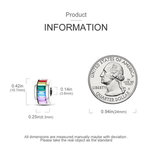 Planet Gates KTC417 Silver Clasp 925 Sterling Silver CZ pave Clip Charms Daisy Beads Stopper Safety Chain fit Original Bangle Bracelet Jewelry Clip