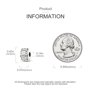 Planet Gates KTC417 Silver Clasp 925 Sterling Silver CZ pave Clip Charms Daisy Beads Stopper Safety Chain fit Original Bangle Bracelet Jewelry Clip