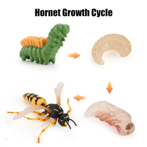 Planet Gates L-4pcs Animal Life Cycle Board Children Toys Montessori Teaching Aids Plant Animal Growth Cycle Model Set preschool cognitive Toys