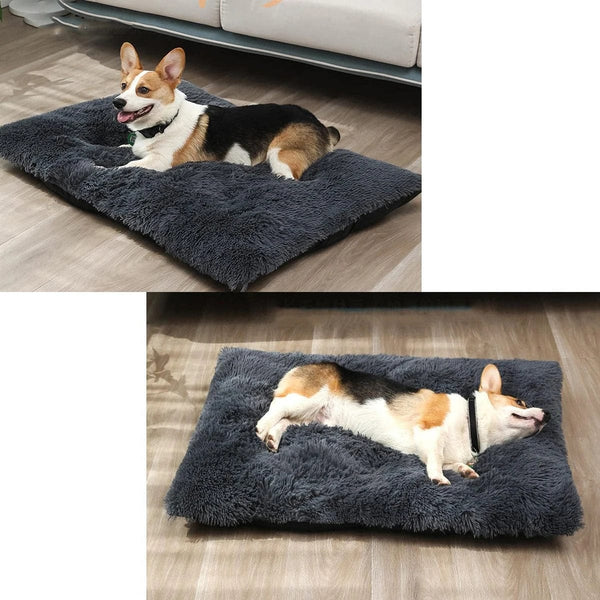 Planet Gates Large Dog Bed Washable Plush Pet Bed Anti Anxiety Warm Dog Cushion Sleeping Mat Comfoetable Pet Mats for Small Medium Large Dogs