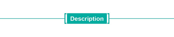 Planet Gates LEADSTAR Pocket TV D5 5 Inch DVB-T2 ATSC ISDB-T TDT Digital and Analog Mini Small Car Television Portable TV Support USB TF AC3