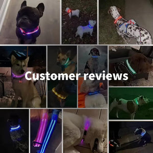 Planet Gates LED Glowing Dog Collar Adjustable Flashing Rechargea Luminous Collar Night Anti-Lost Dog Light HarnessFor Small Dog Pet Products