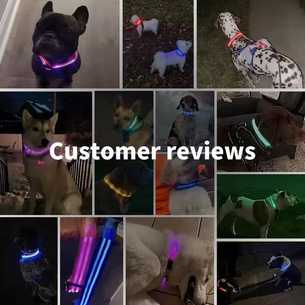 Planet Gates LED Glowing Dog Collar Adjustable Flashing Rechargea Luminous Collar Night Anti-Lost Dog Light HarnessFor Small Dog Pet Products