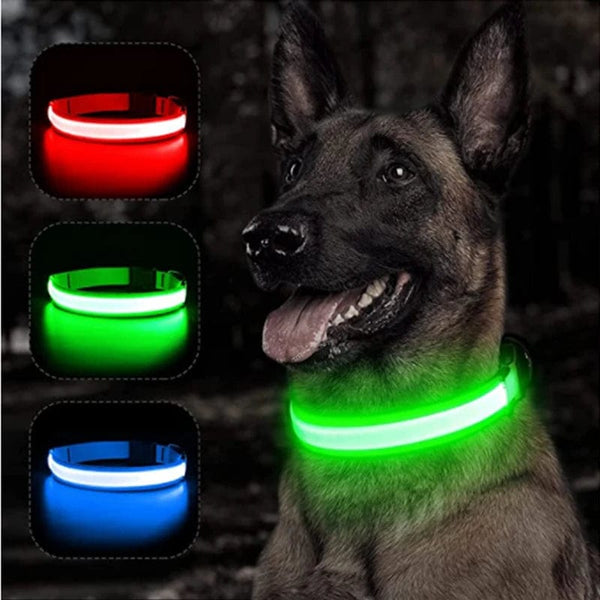 Planet Gates LED Glowing Dog Collar Adjustable Flashing Rechargea Luminous Collar Night Anti-Lost Dog Light HarnessFor Small Dog Pet Products