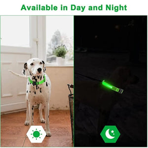 Planet Gates LED Glowing Dog Collar Adjustable Flashing Rechargea Luminous Collar Night Anti-Lost Dog Light HarnessFor Small Dog Pet Products