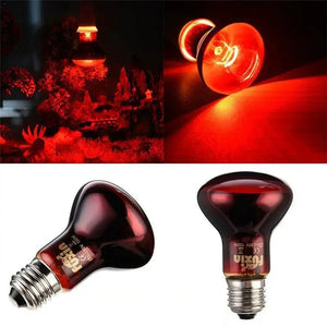 Planet Gates LED Red Reptile Night Light UVA Infrared Heat Lamp Bulb for Snake Lizard Reptile 60W 75W 100W