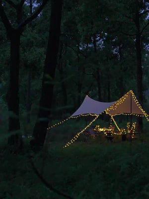 Planet Gates LED Solar Crystal Ball String Lights 1 Pack Outdoor Waterproof Festoon Fairy Bubble Ball Lamp for Thanksgiving Halloween Garden Decorations