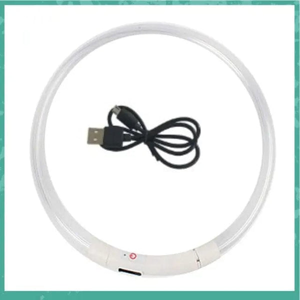 Planet Gates Led Usb Dog Collar Pet Dog Night Luminous Charge Collar Led Night Safety Flashing Glow Dog Loss Prevention Collar Pet Accessorie