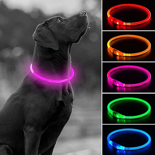 Planet Gates Led Usb Dog Collar Pet Dog Night Luminous Charge Collar Led Night Safety Flashing Glow Dog Loss Prevention Collar Pet Accessorie