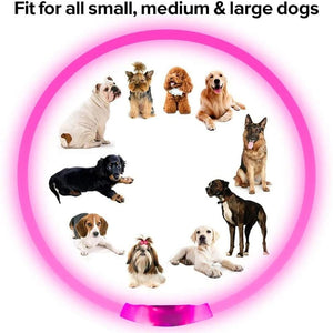 Planet Gates Led Usb Dog Collar Pet Dog Night Luminous Charge Collar Led Night Safety Flashing Glow Dog Loss Prevention Collar Pet Accessorie